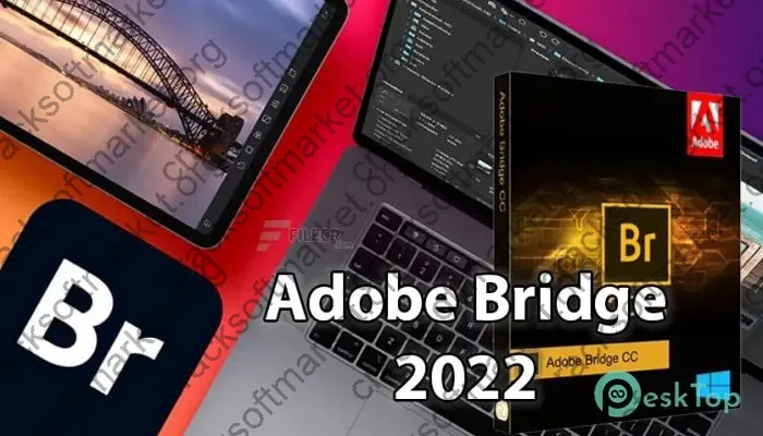 Adobe Bridge 2024 Activation key